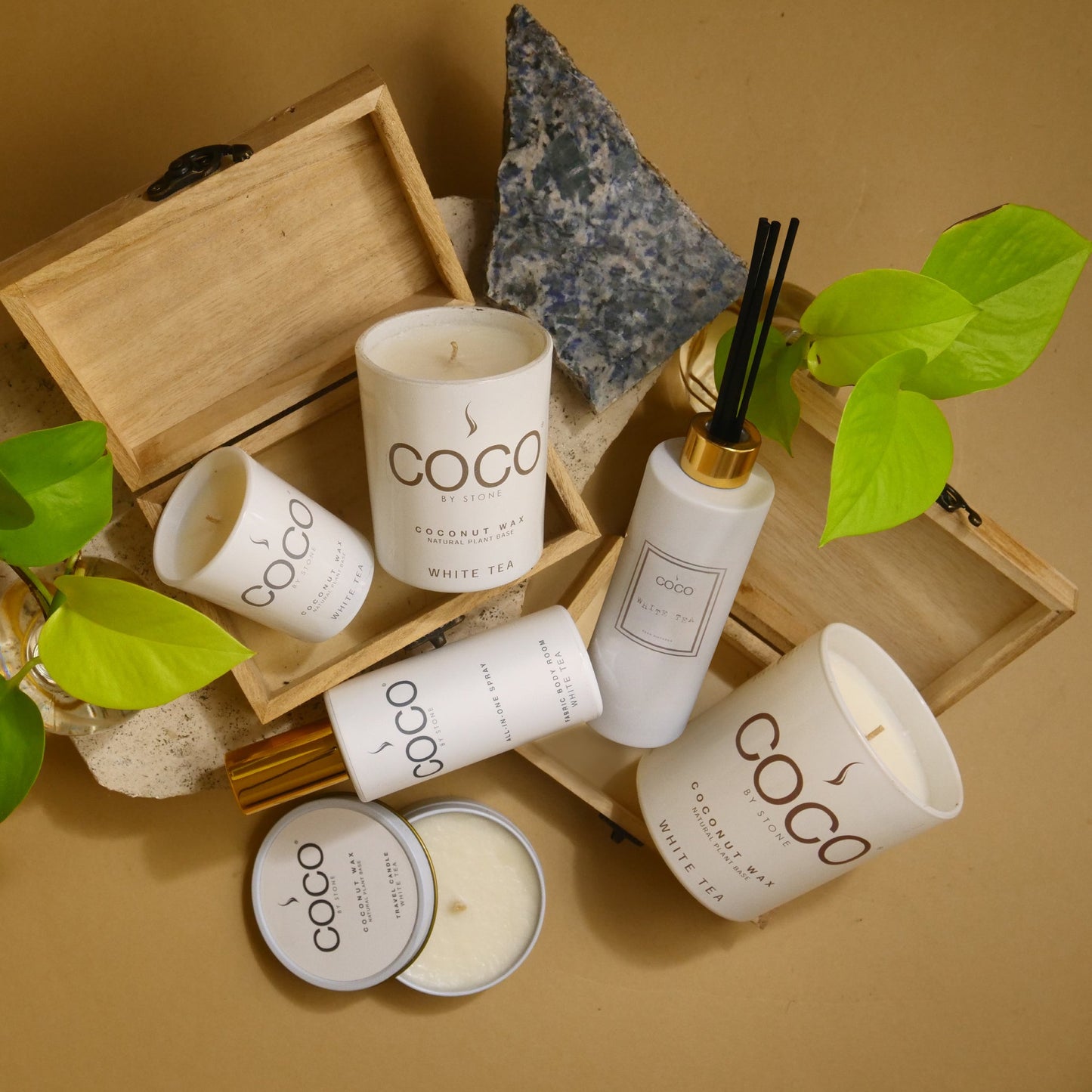 5oz White Tea Reed Diffuser