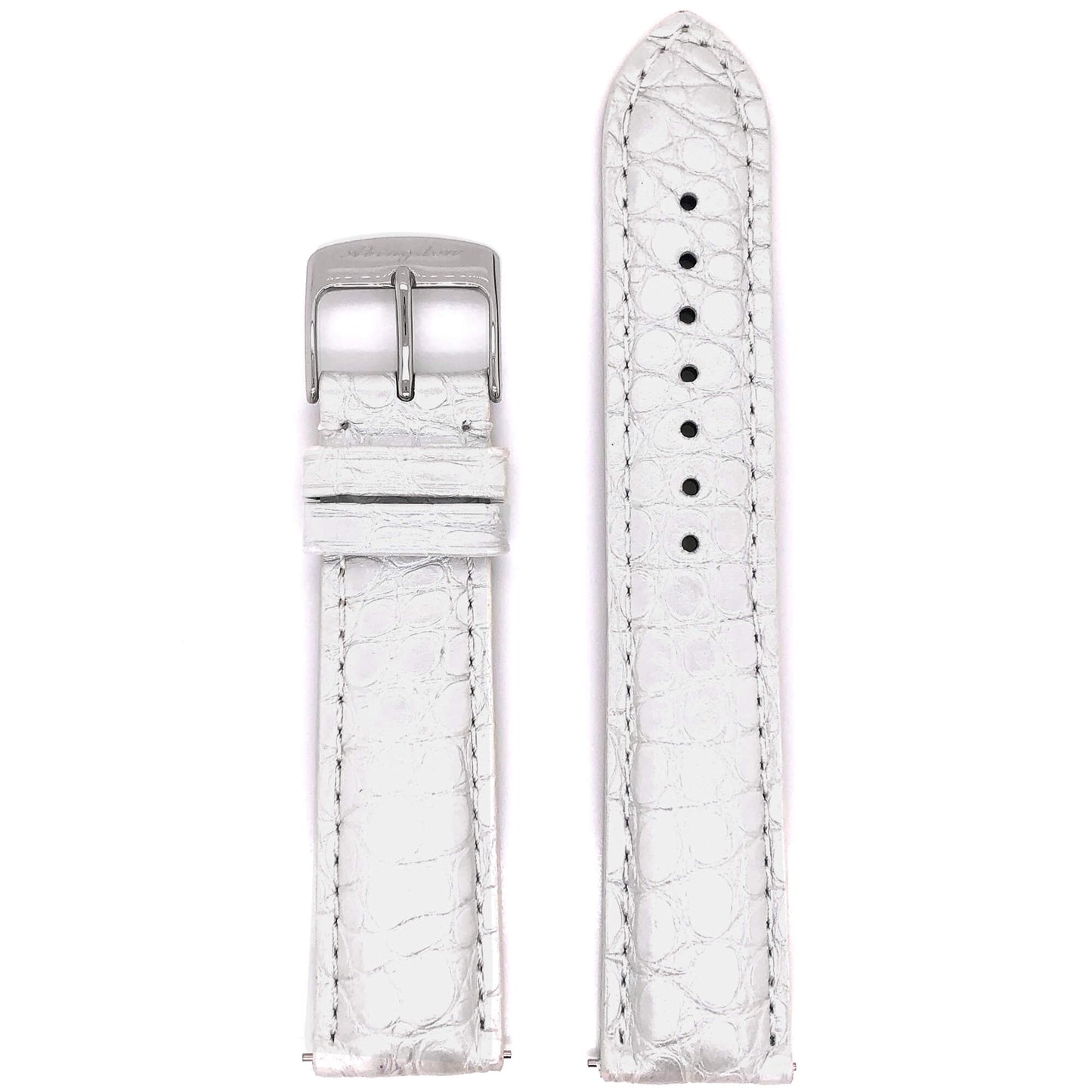 BAND - 20mm Alligator