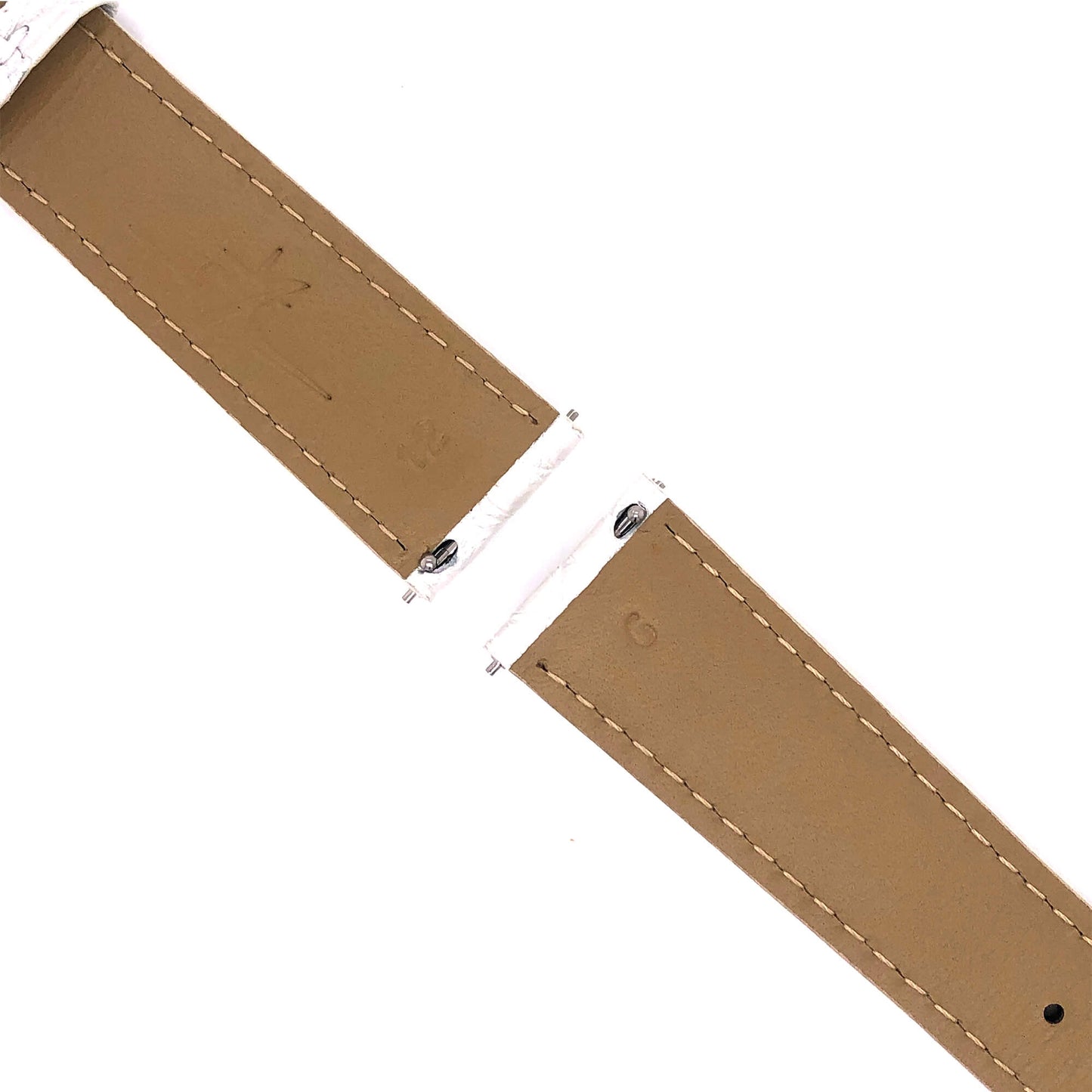 BAND - 20mm Alligator