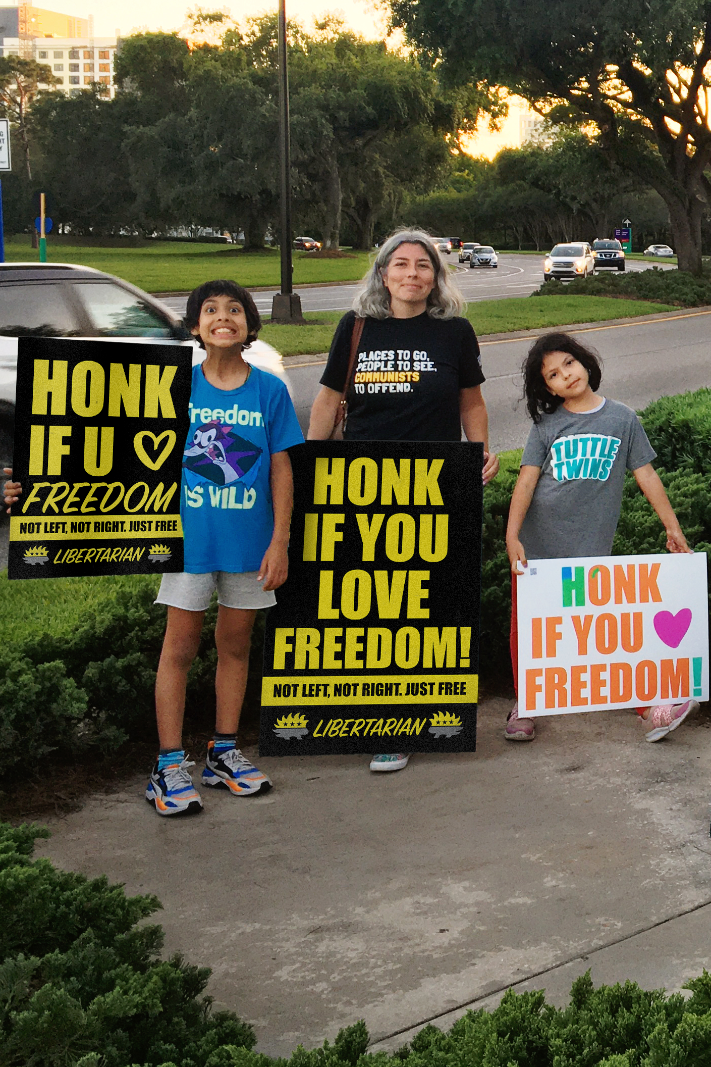 Honk if You love Freedom - Profits for Protests Youth Sign (18" x 24")