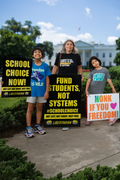 Legalize Tar and Feathering Politicians - Profits for Protests Adult Sign (24" x 36")
