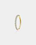 20G 14K Gold CZ Segment Nose Hoop