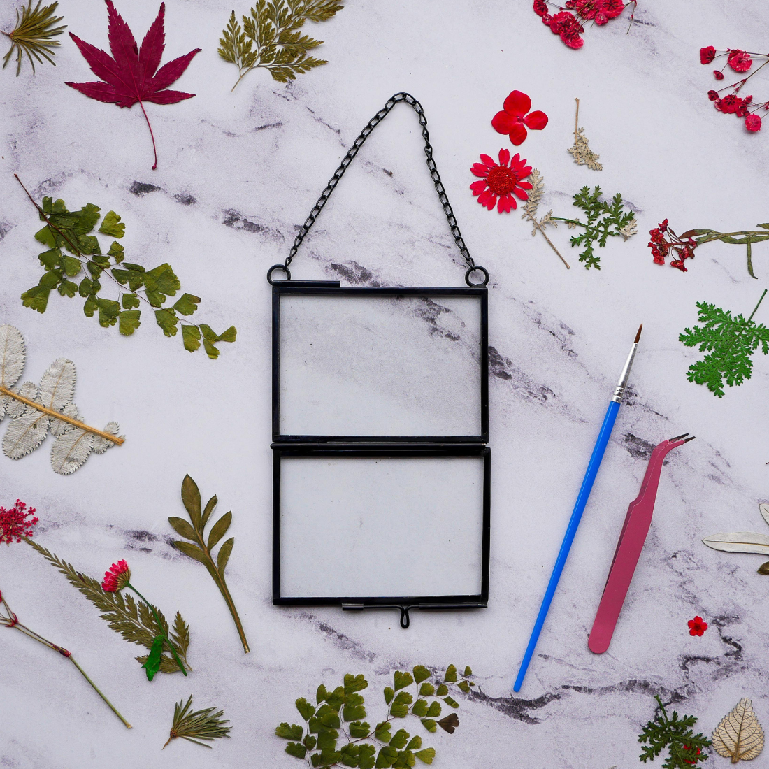 Holiday Framed Pressed Flowers Kit