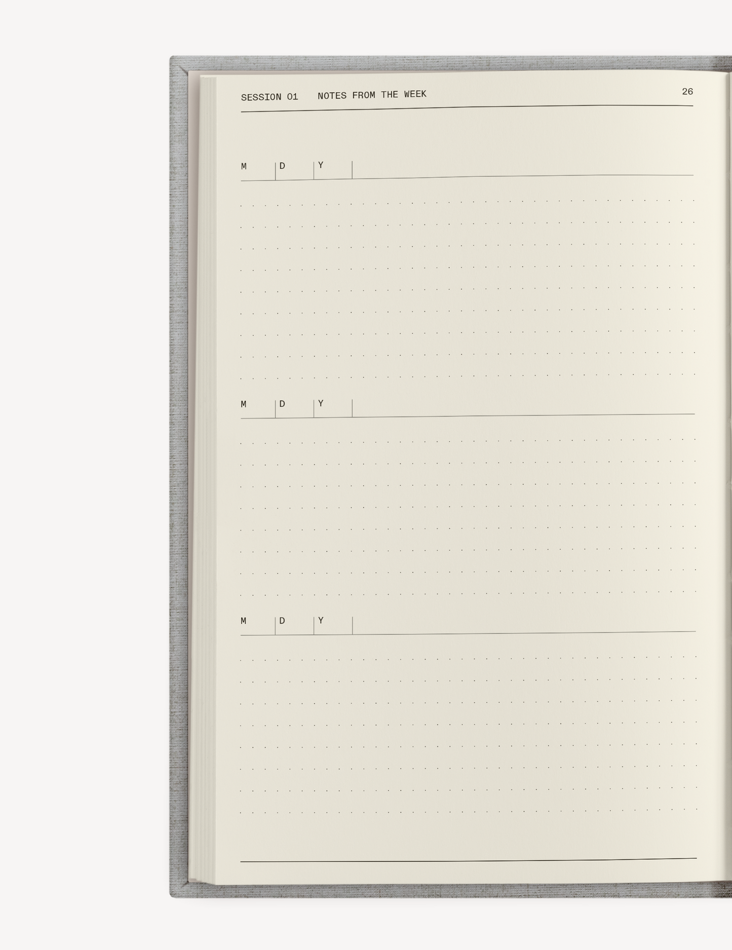 The Therapy Companion Set