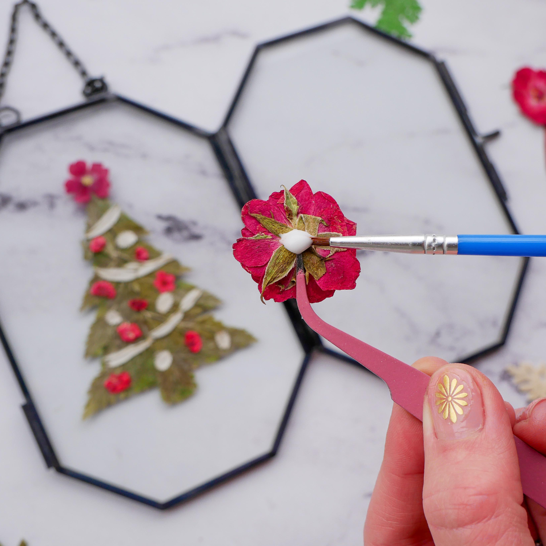 Holiday Framed Pressed Flowers Kit