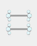 2Pcs Internally Threaded Titanium Nipple Barbell Pair