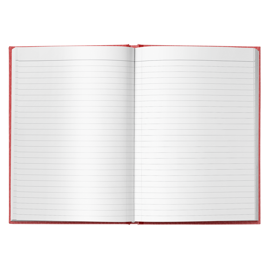 Well, That Didn't Work - An Abbreviated History of Communism Hardcover Journal