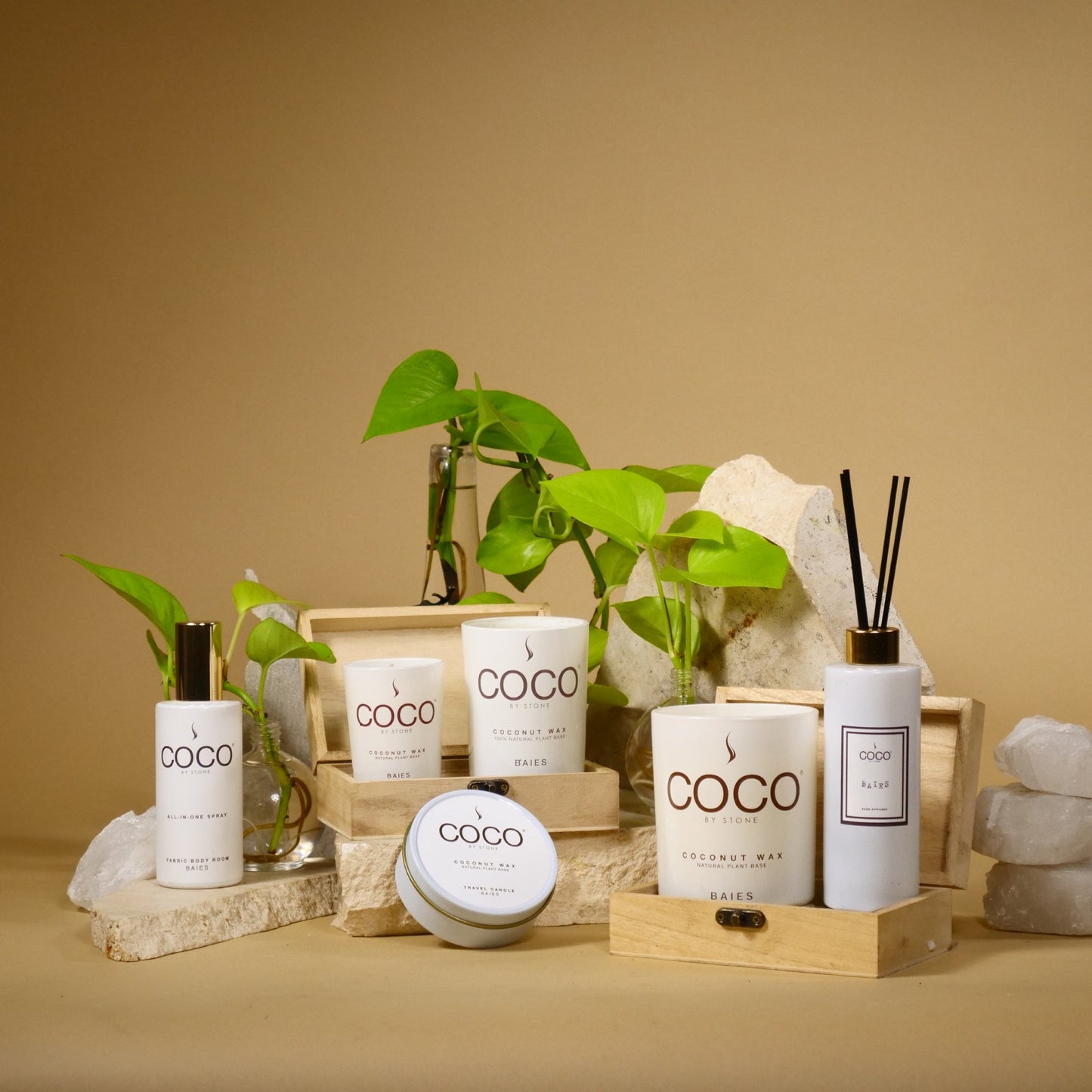 Baies Natural Coconut Apricot Wax Candle