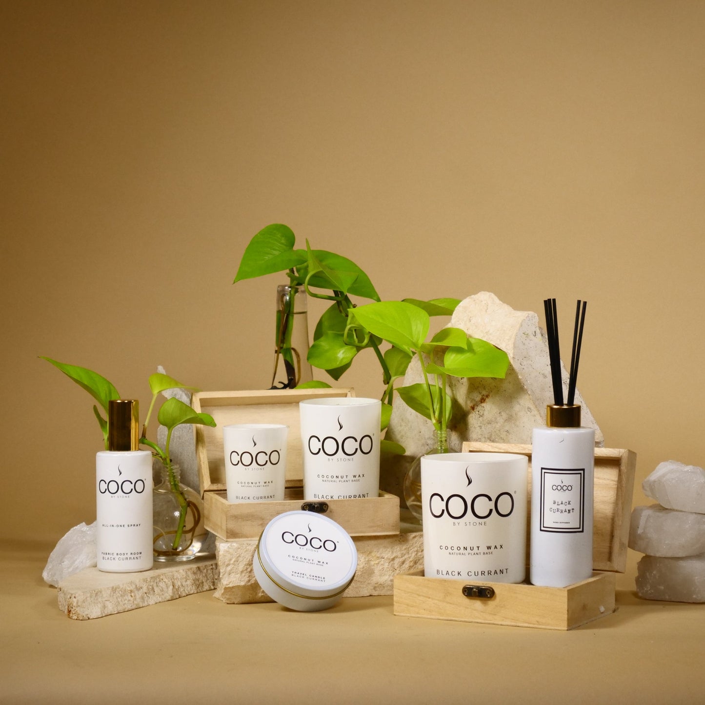 5oz Black Currant All-In-One Spray