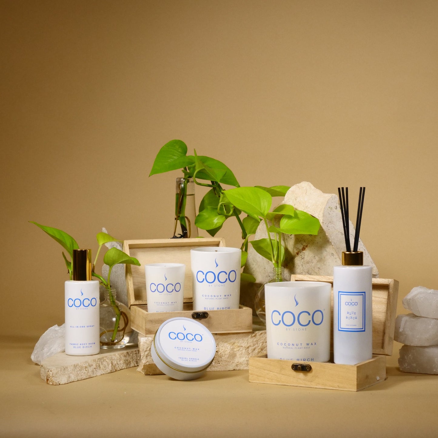 Blue Birch Natural Coconut Apricot Wax Candle