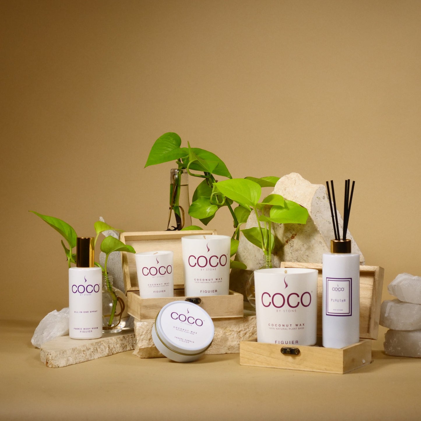 5oz Figuier All-In-One Spray