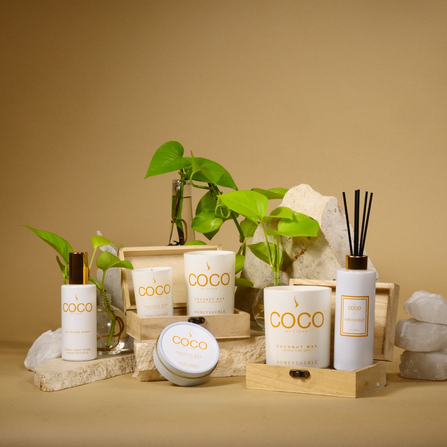 5oz Honeysuckle Reed Diffuser