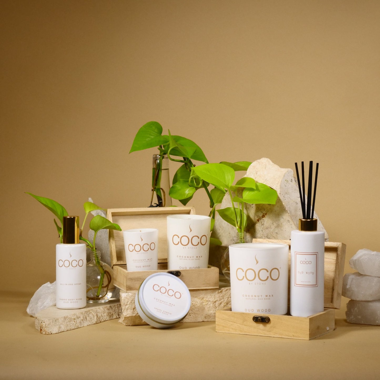 Oud Wood Natural Coconut Apricot Wax Candle