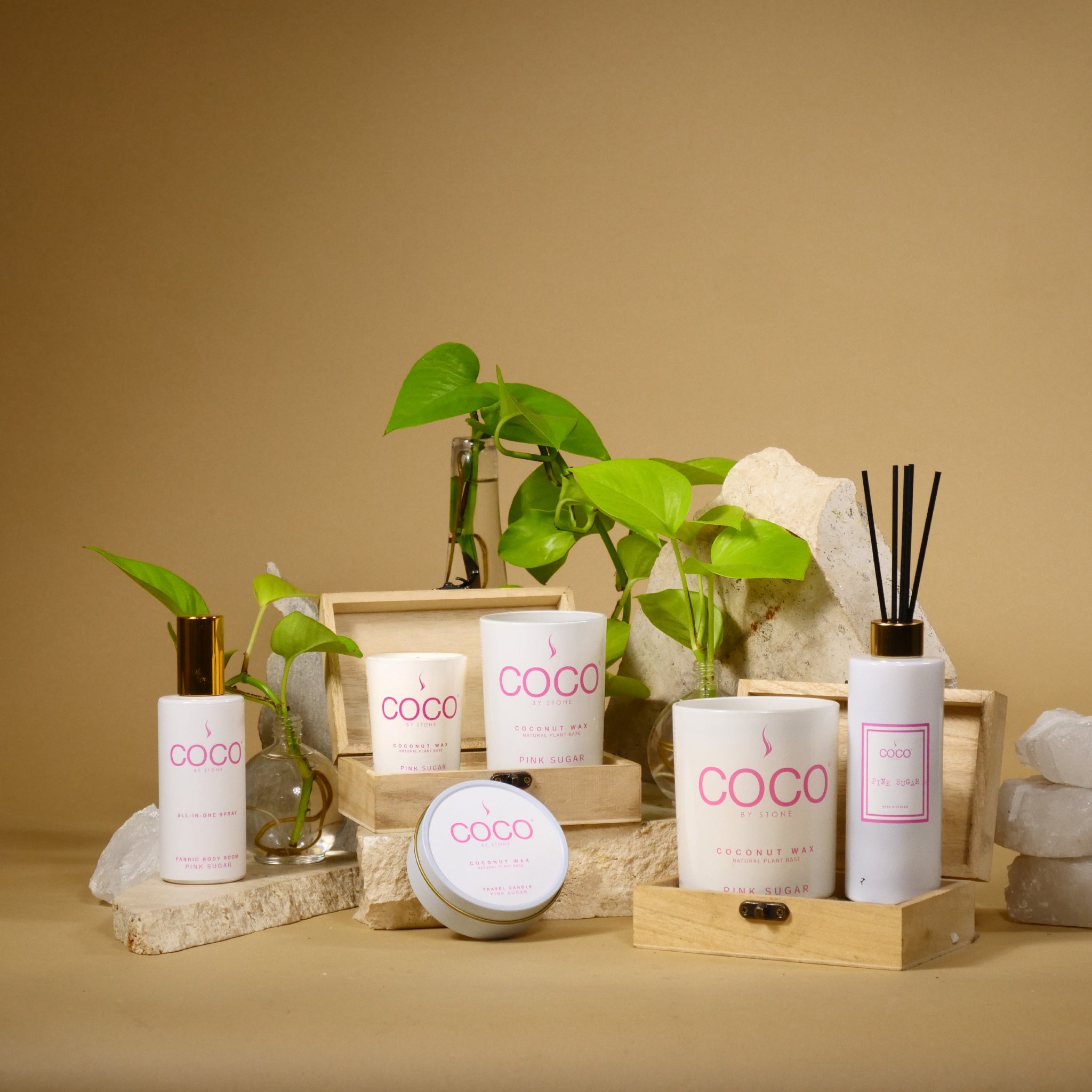 Pink Sugar Natural Coconut Apricot Wax Candle