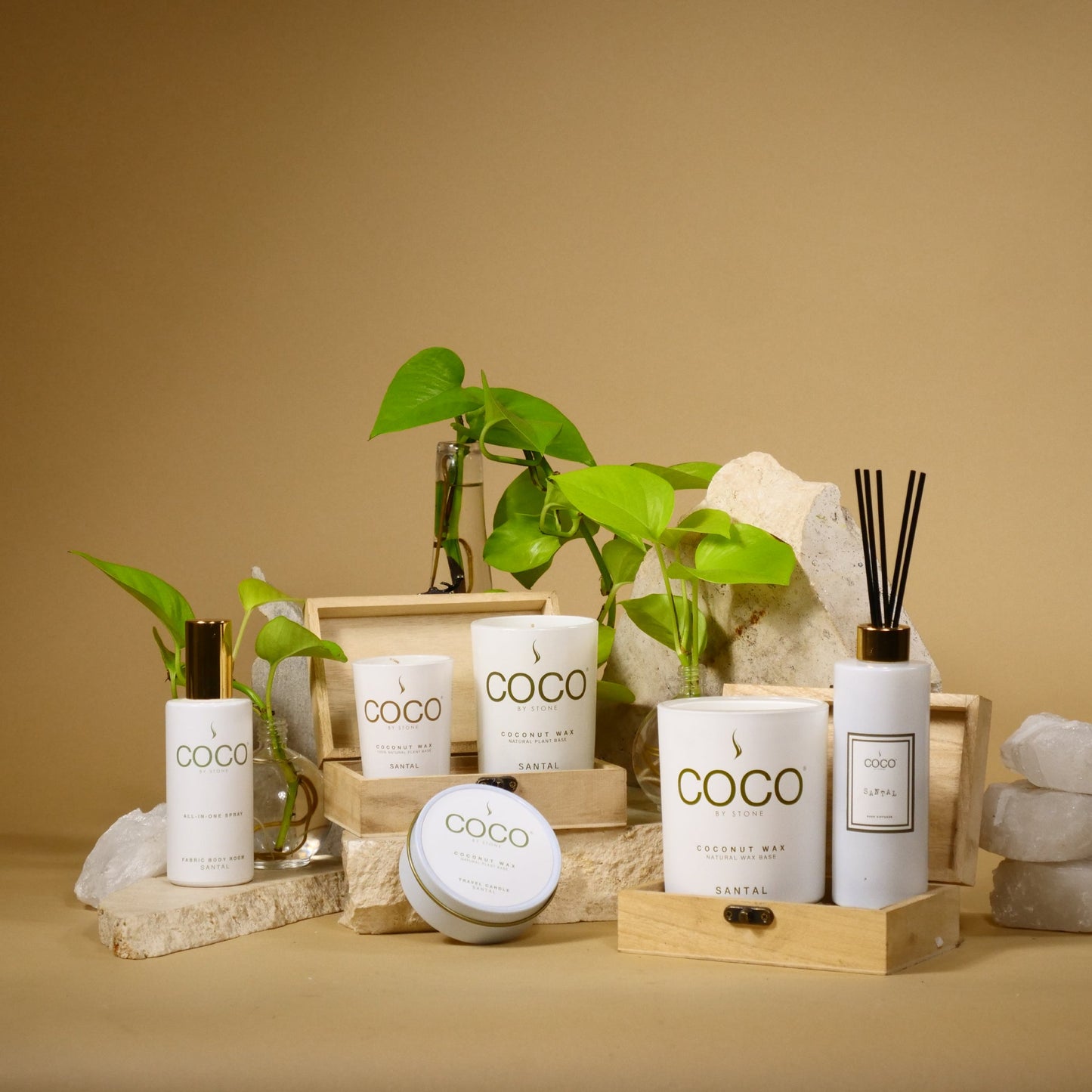 Santal Natural Coconut Apricot Wax Candle