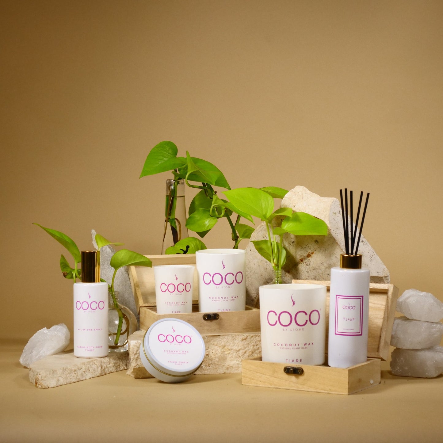 Tiare Natural Coconut Apricot Wax Candle