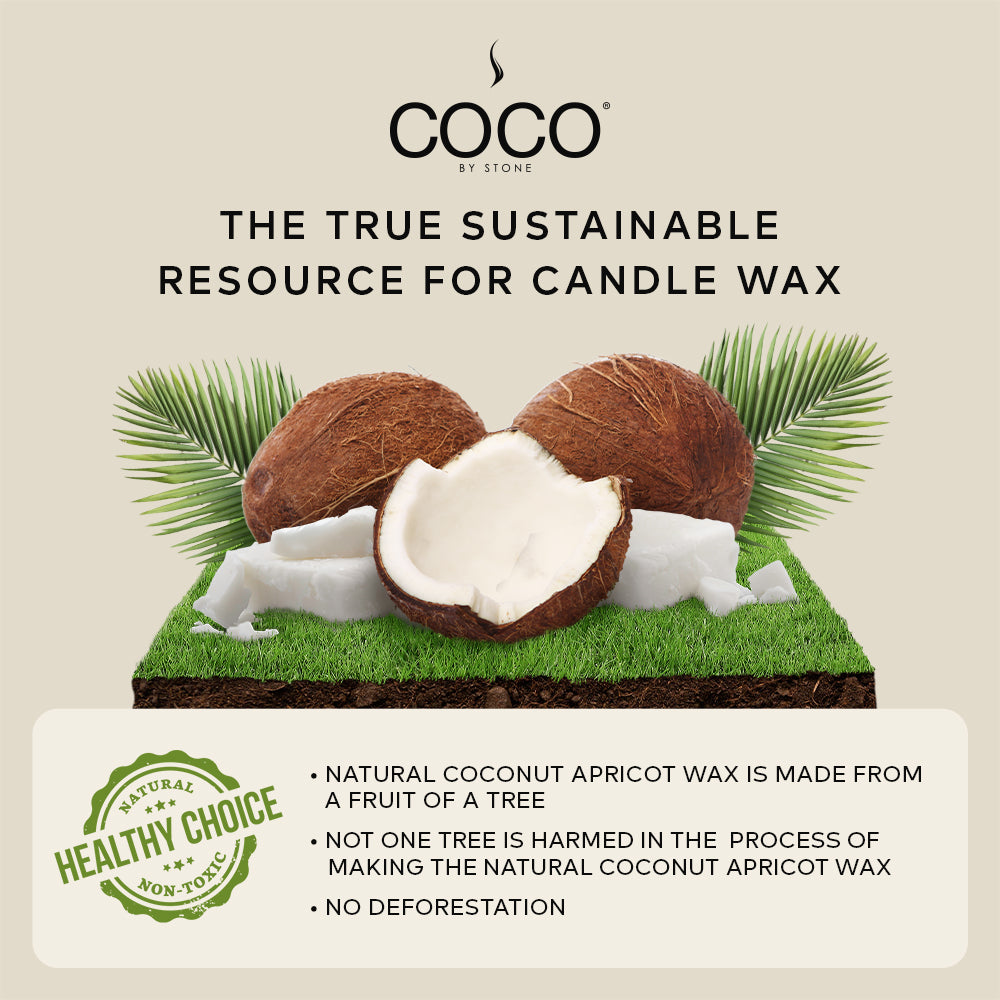 Tiare Natural Coconut Apricot Wax Candle