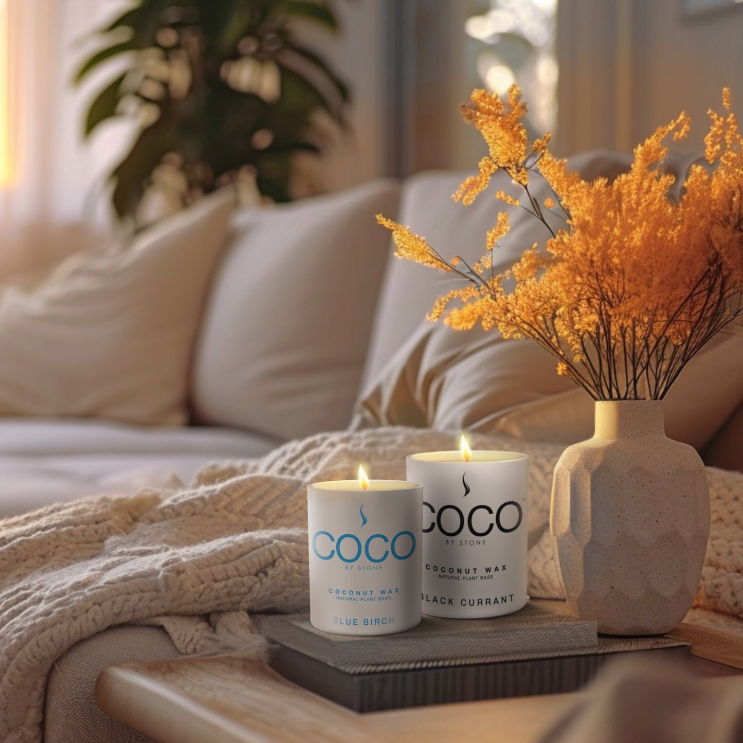 Blue Birch Natural Coconut Apricot Wax Candle