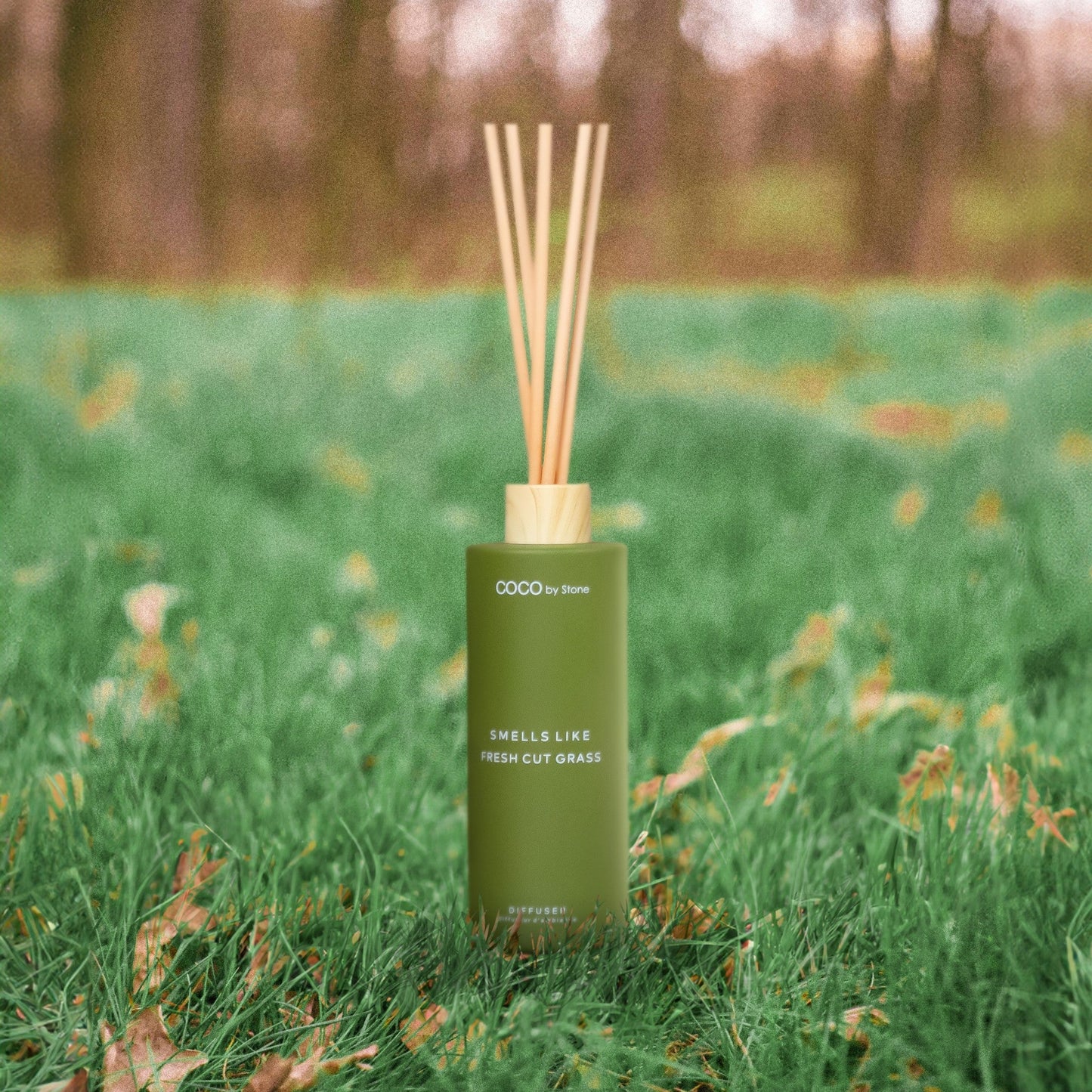 5oz Smells Like Fresh Cut Grass Reed Diffuser
