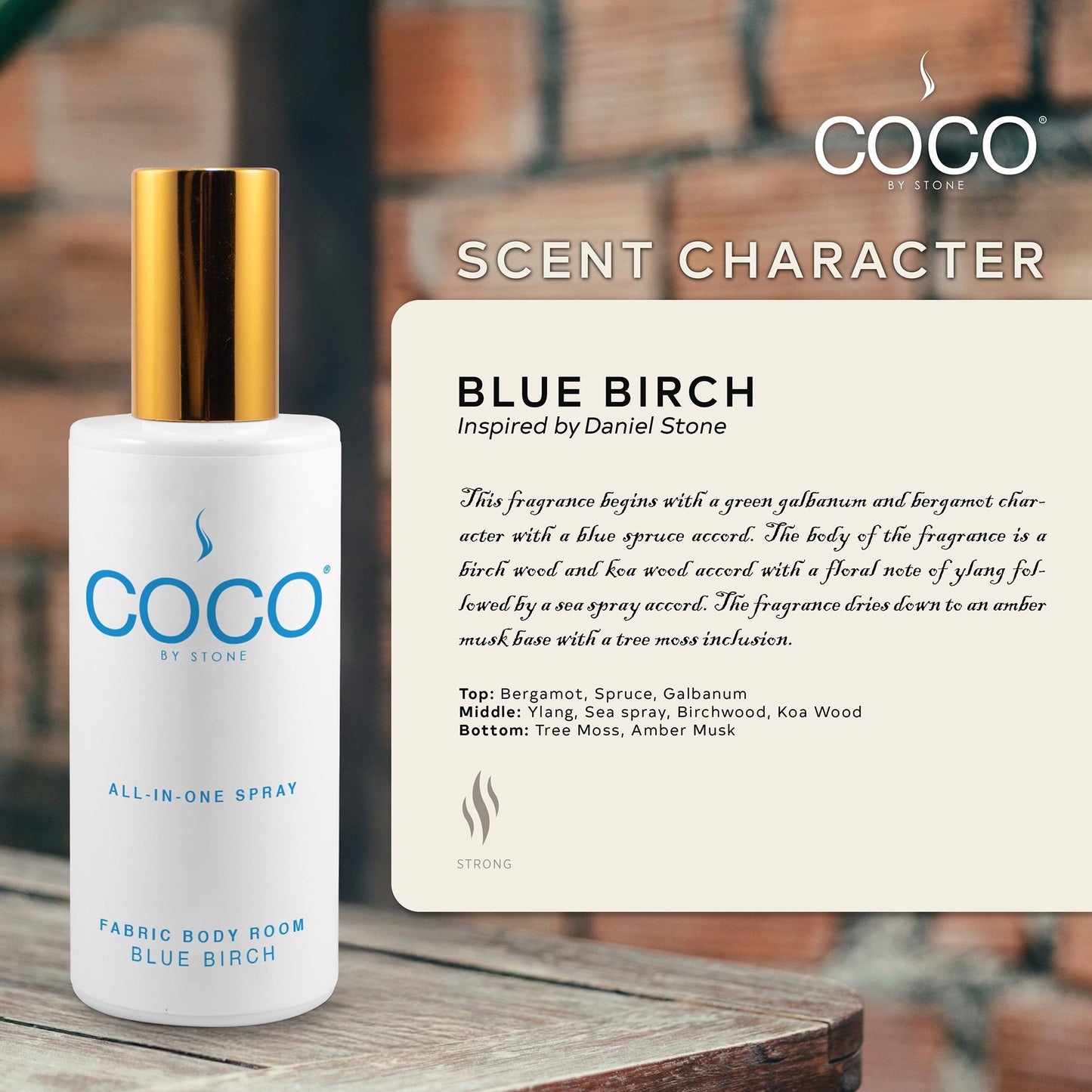 5oz Blue Birch All-In-One Spray