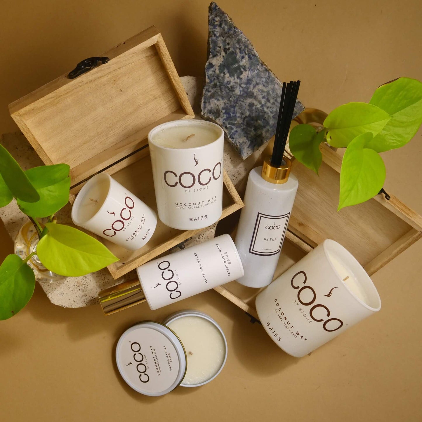 5oz Baies Reed Diffuser