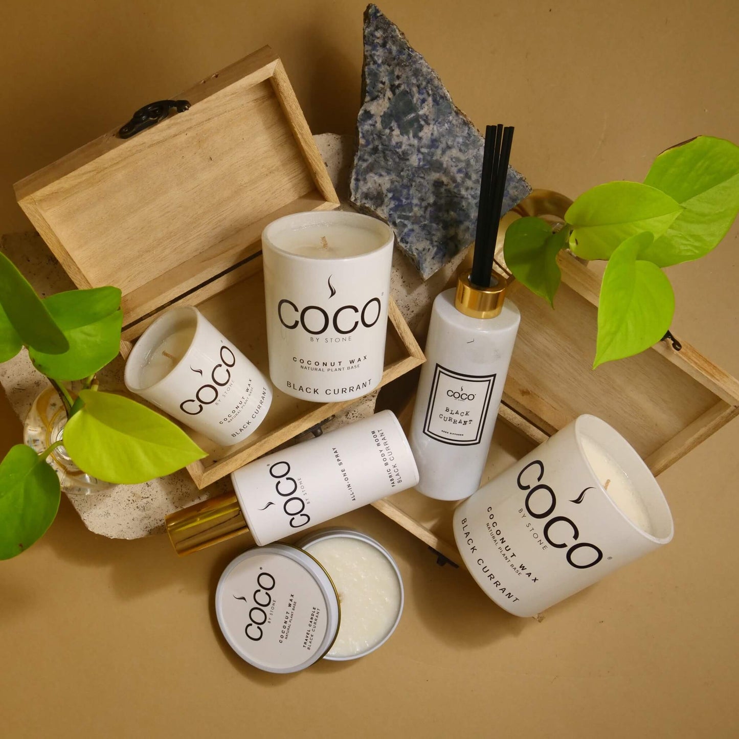 5oz Black Currant Reed Diffuser