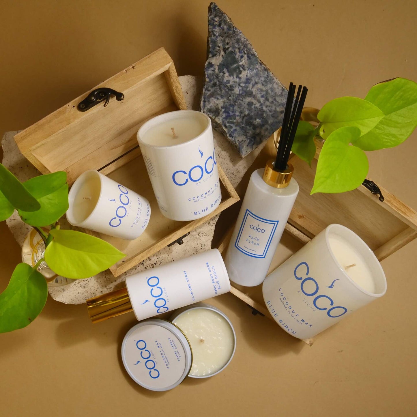 5oz Blue Birch Reed Diffuser