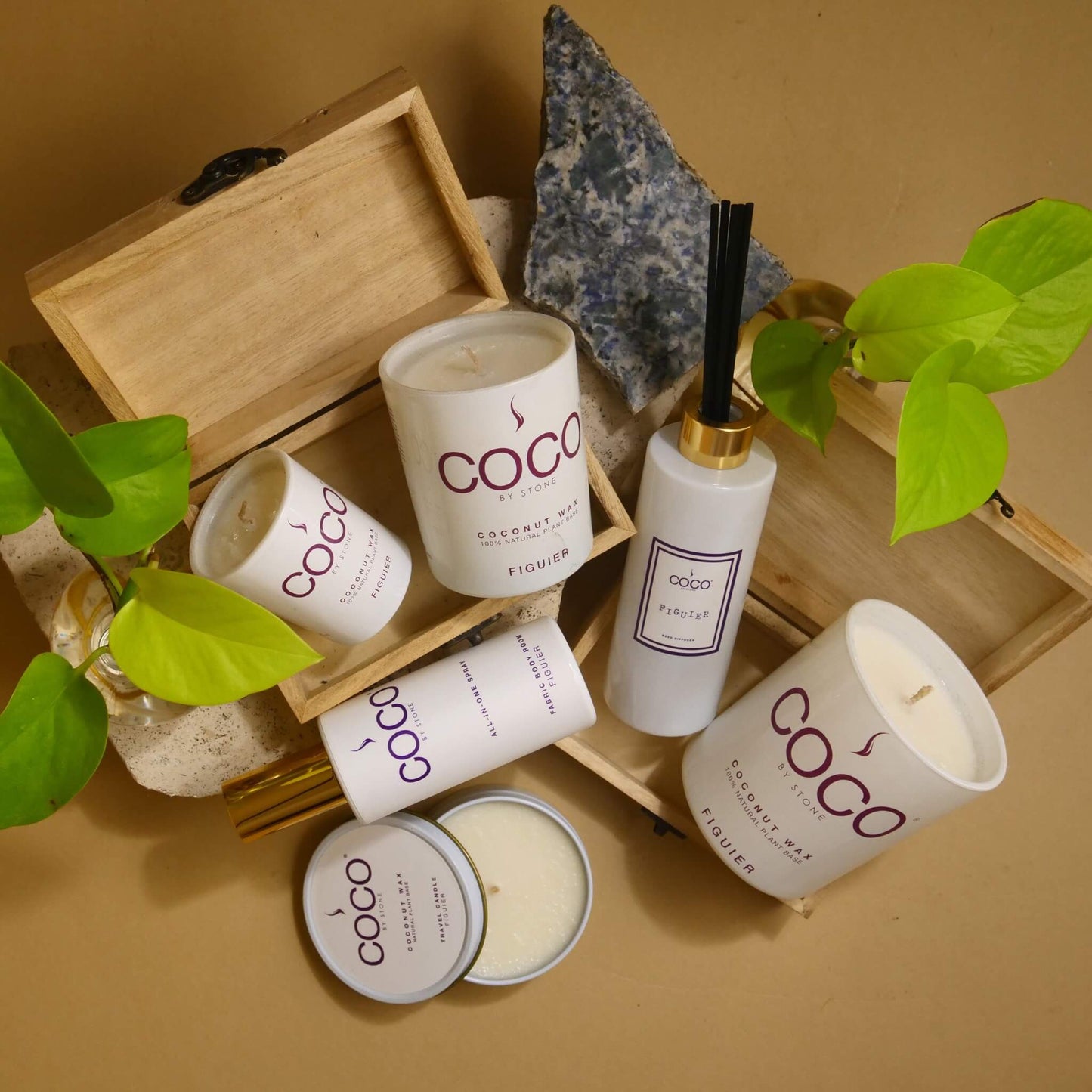 5oz Figuier All-In-One Spray