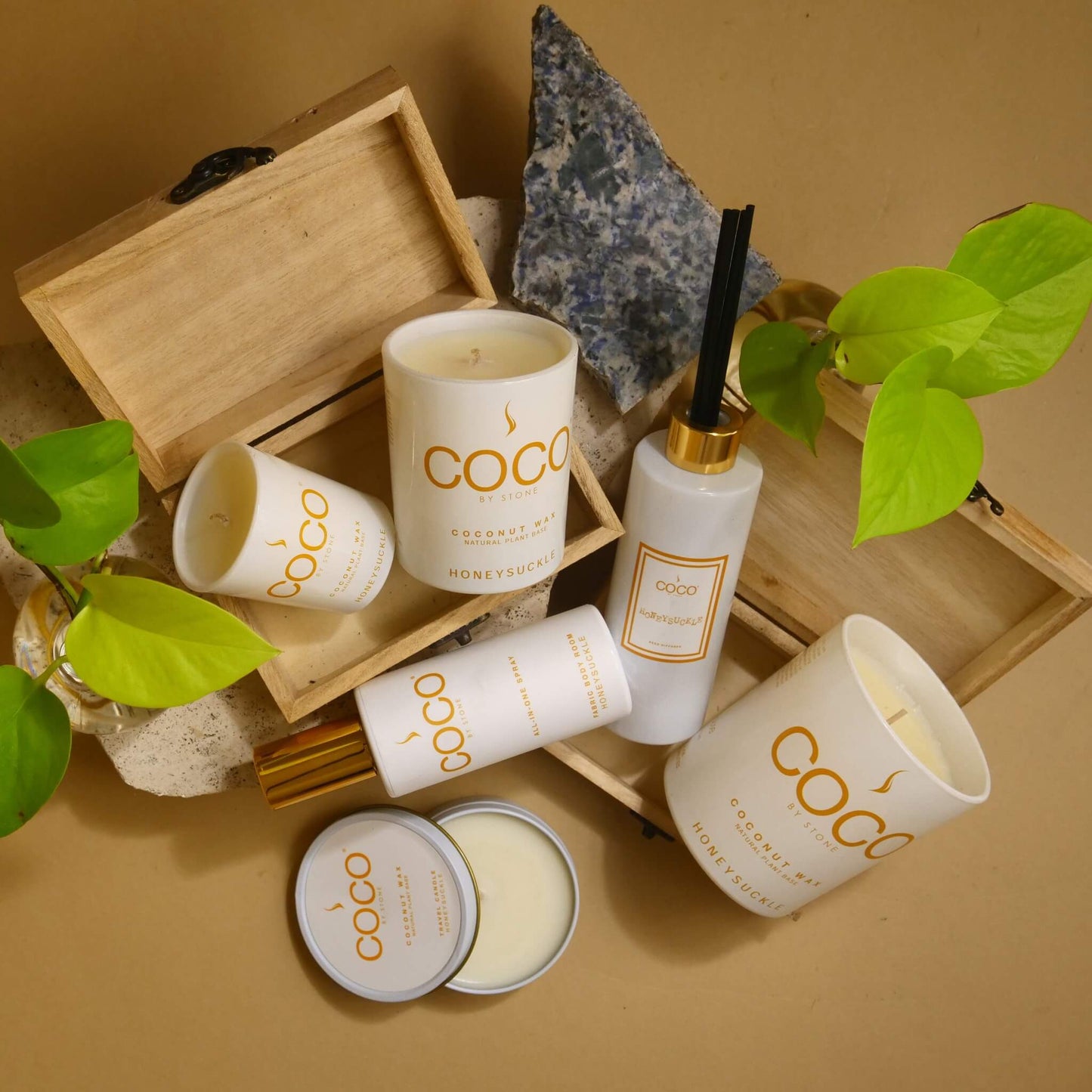 5oz Honeysuckle Reed Diffuser