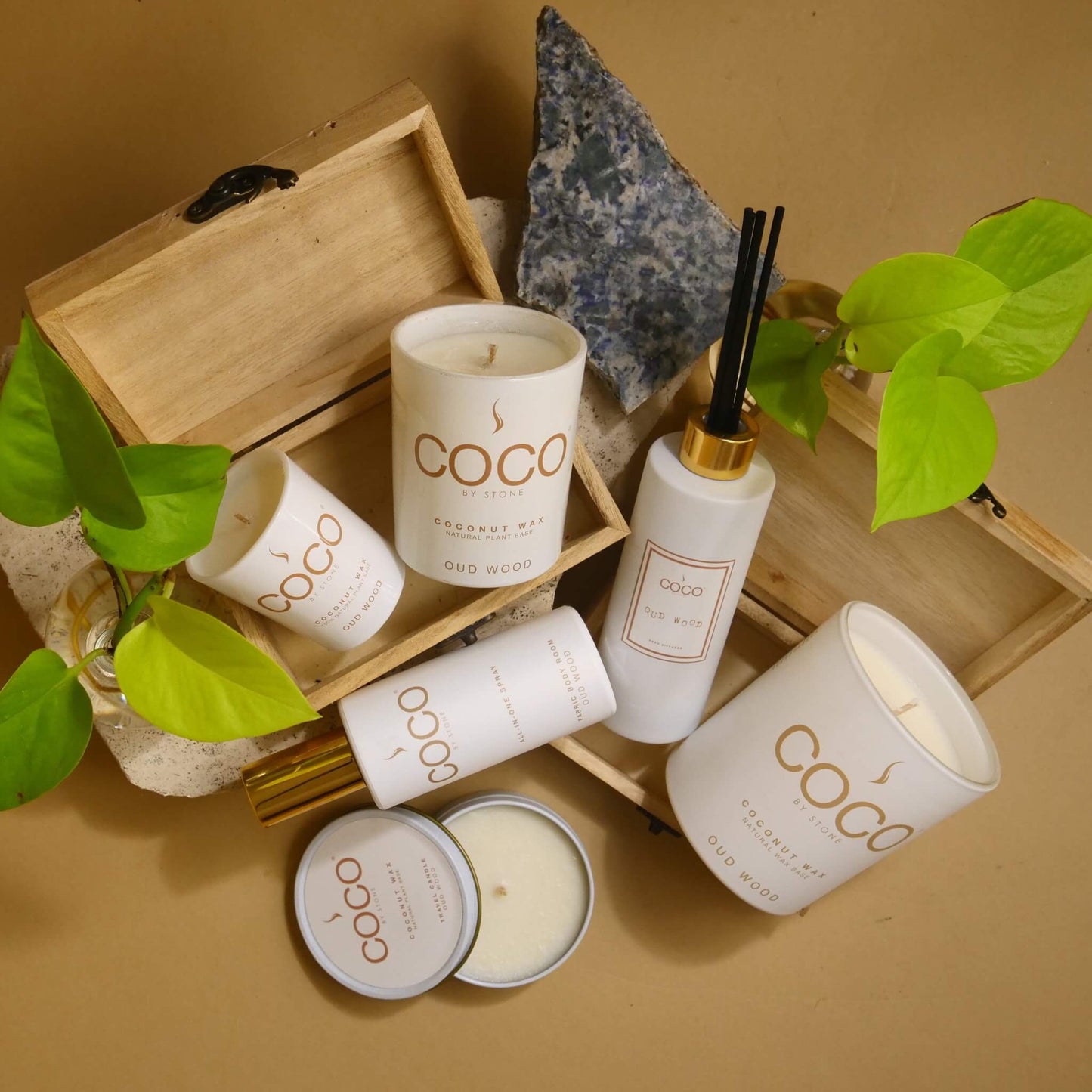 Oud Wood Natural Coconut Apricot Wax Candle