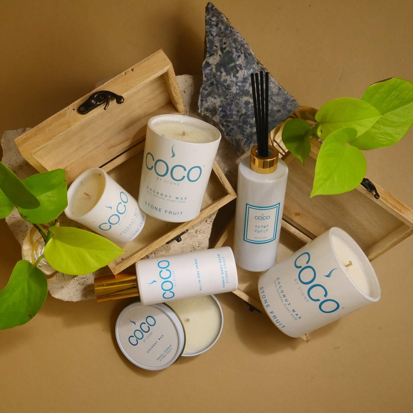 5oz Stone Fruit Reed Diffuser