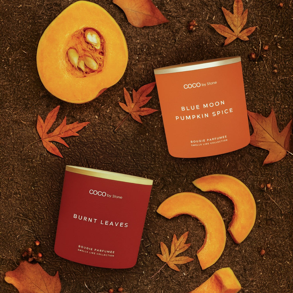 15oz Smells Like Blue Moon Pumpkin Spice Candle