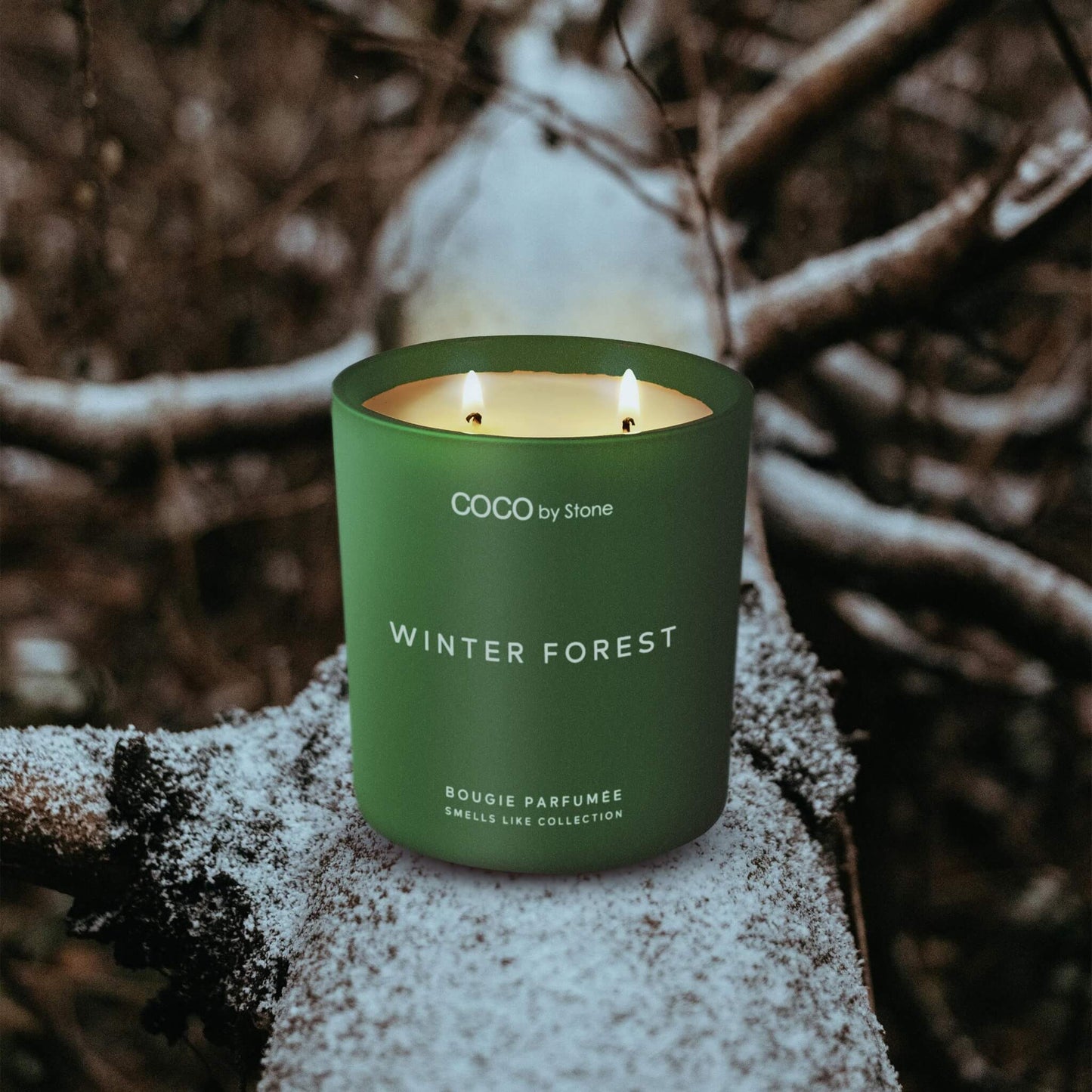 11oz Smells Like Winter Forest Candle