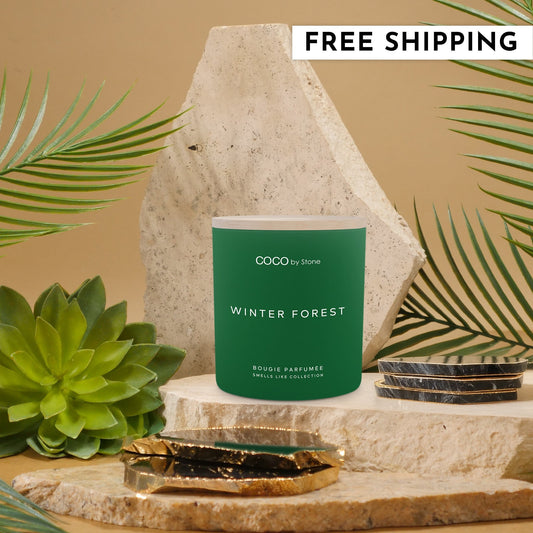 11oz Smells Like Winter Forest Candle