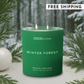 11oz Smells Like Winter Forest Candle