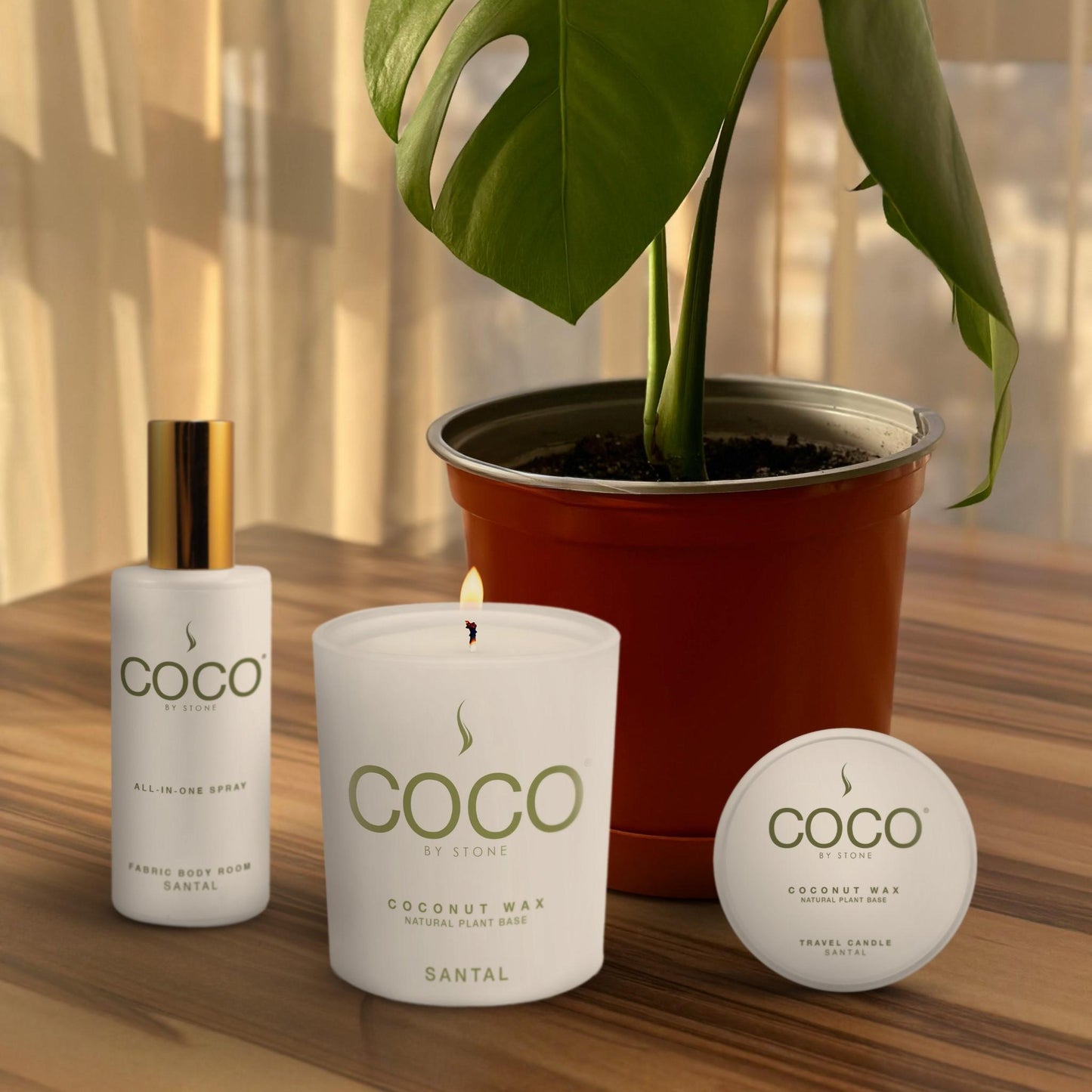 Santal Natural Coconut Apricot Wax Candle