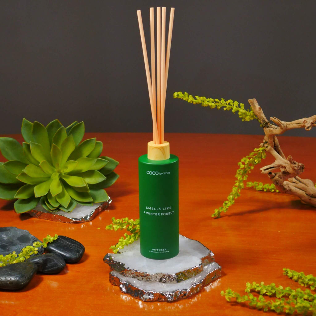 5oz Smells Like A Winter Forest Reed Diffuser