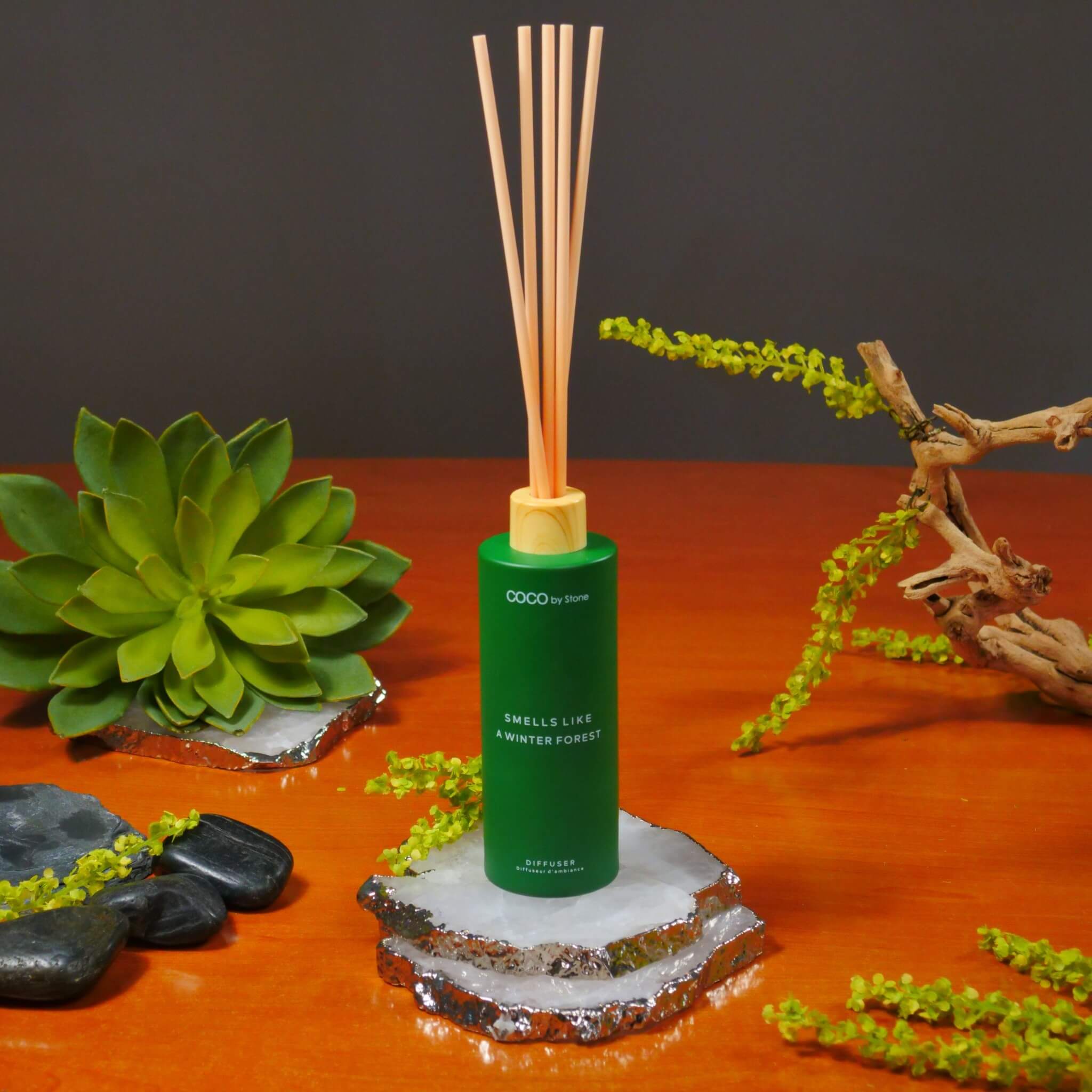 5oz Smells Like A Winter Forest Reed Diffuser