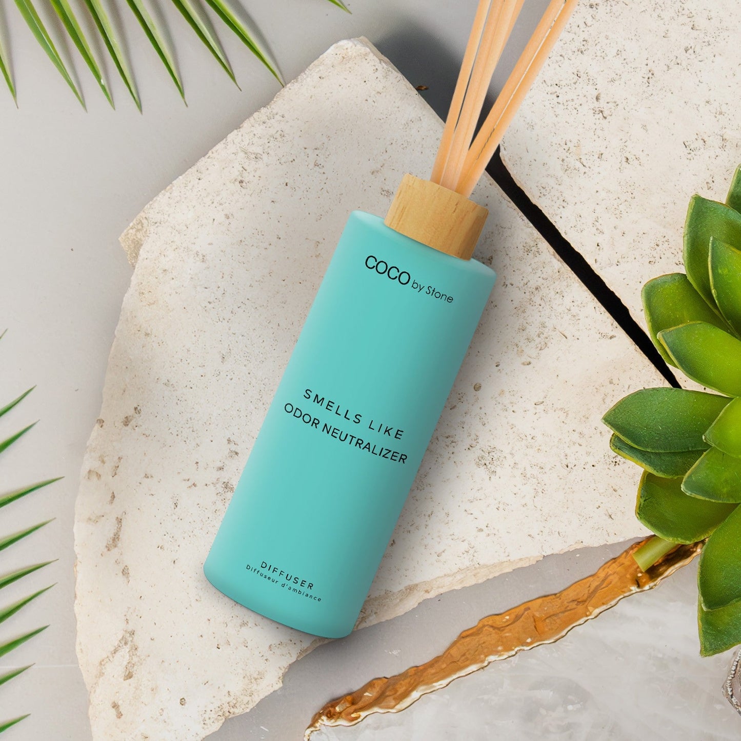 5oz Smells Like Odor Neutralizer Reed Diffuser