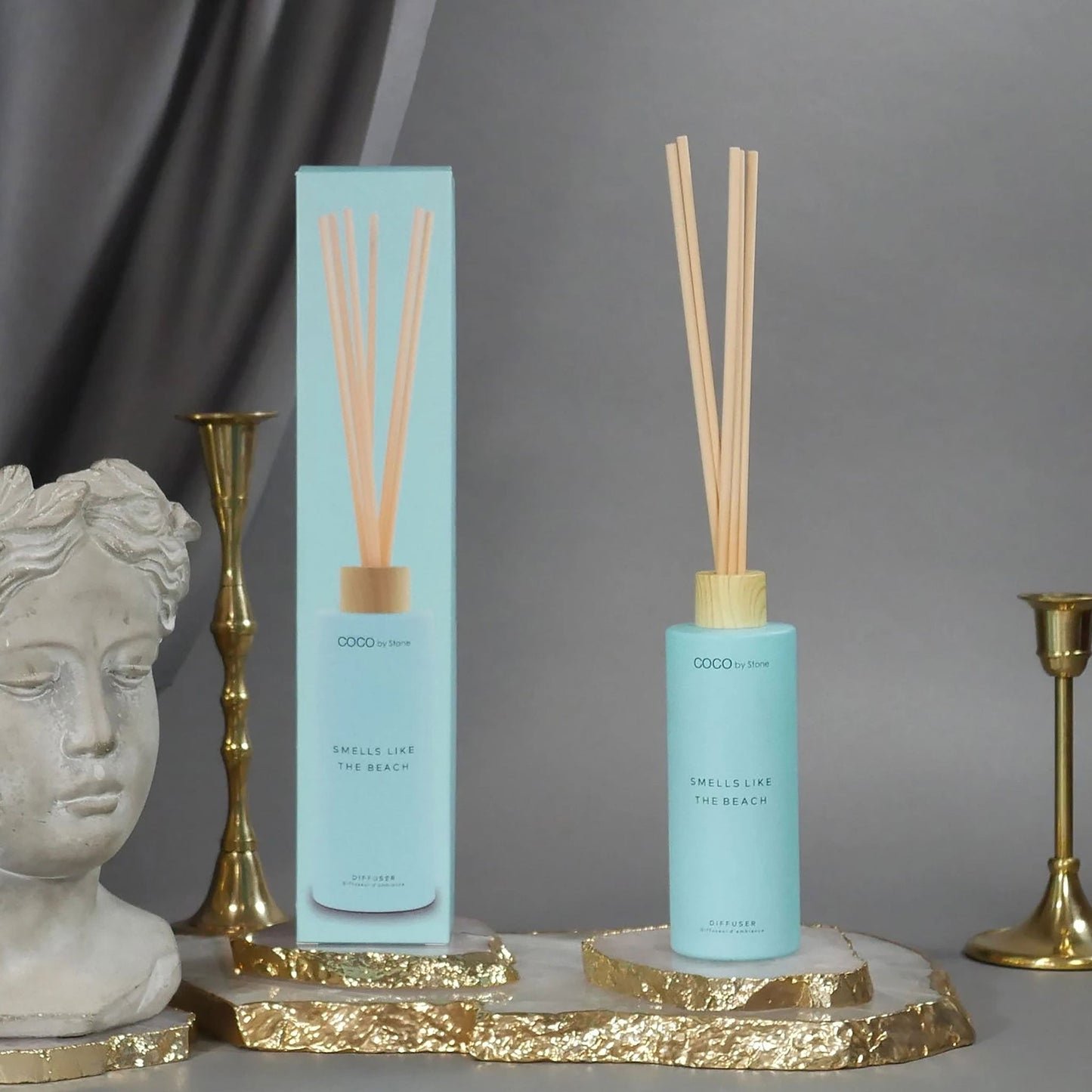 5oz Smells Like The Beach Reed Diffuser