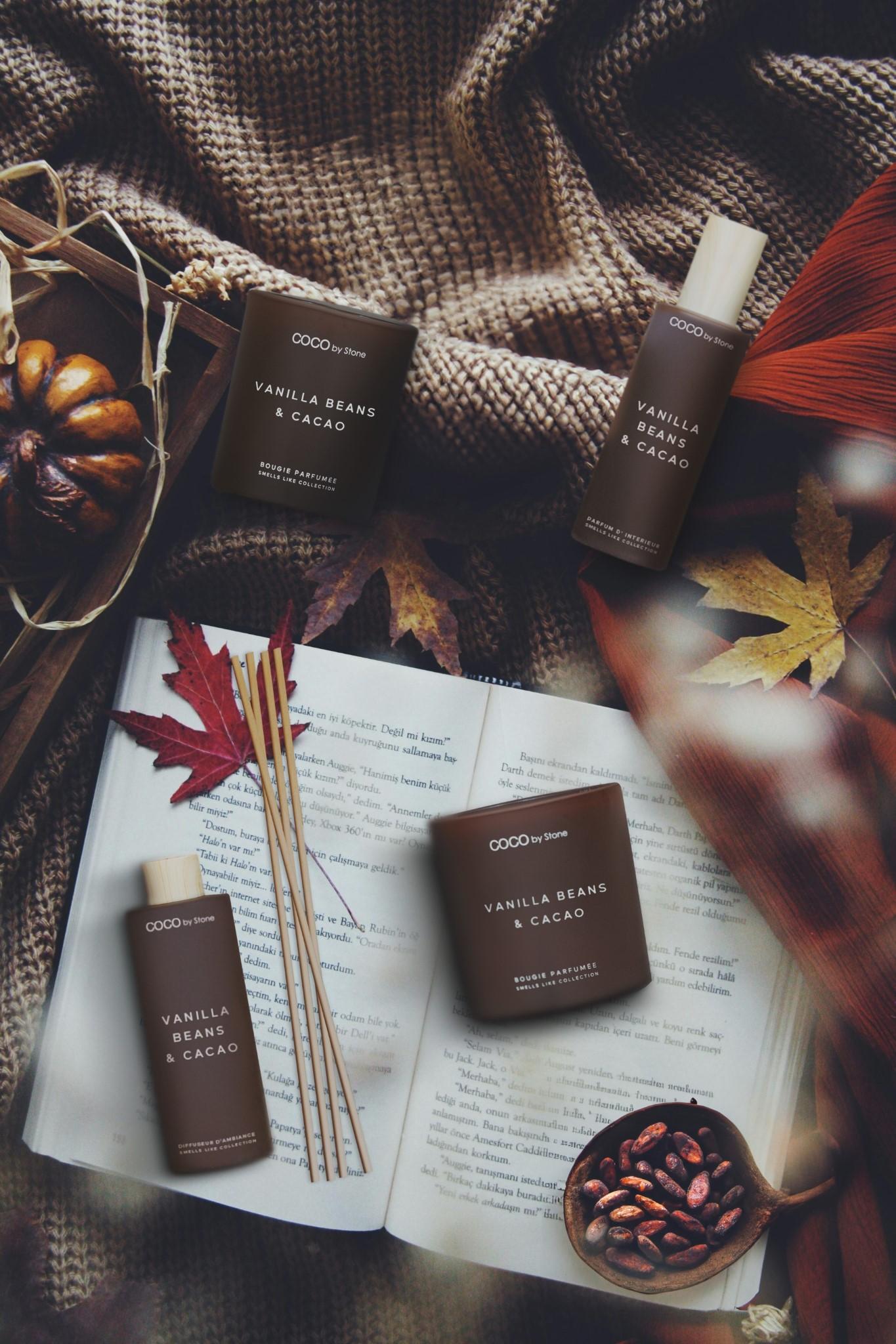 5oz Smells Like Cacao & Vanilla Reed Diffuser