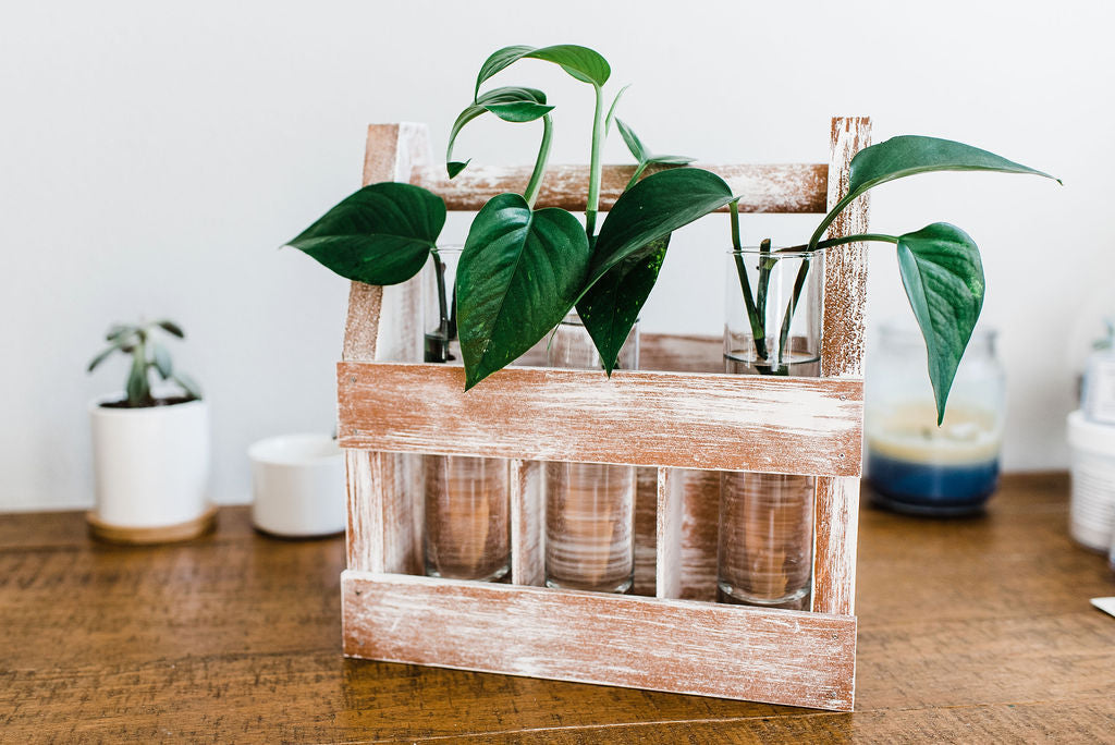 Weathered Wood Caddy Kit