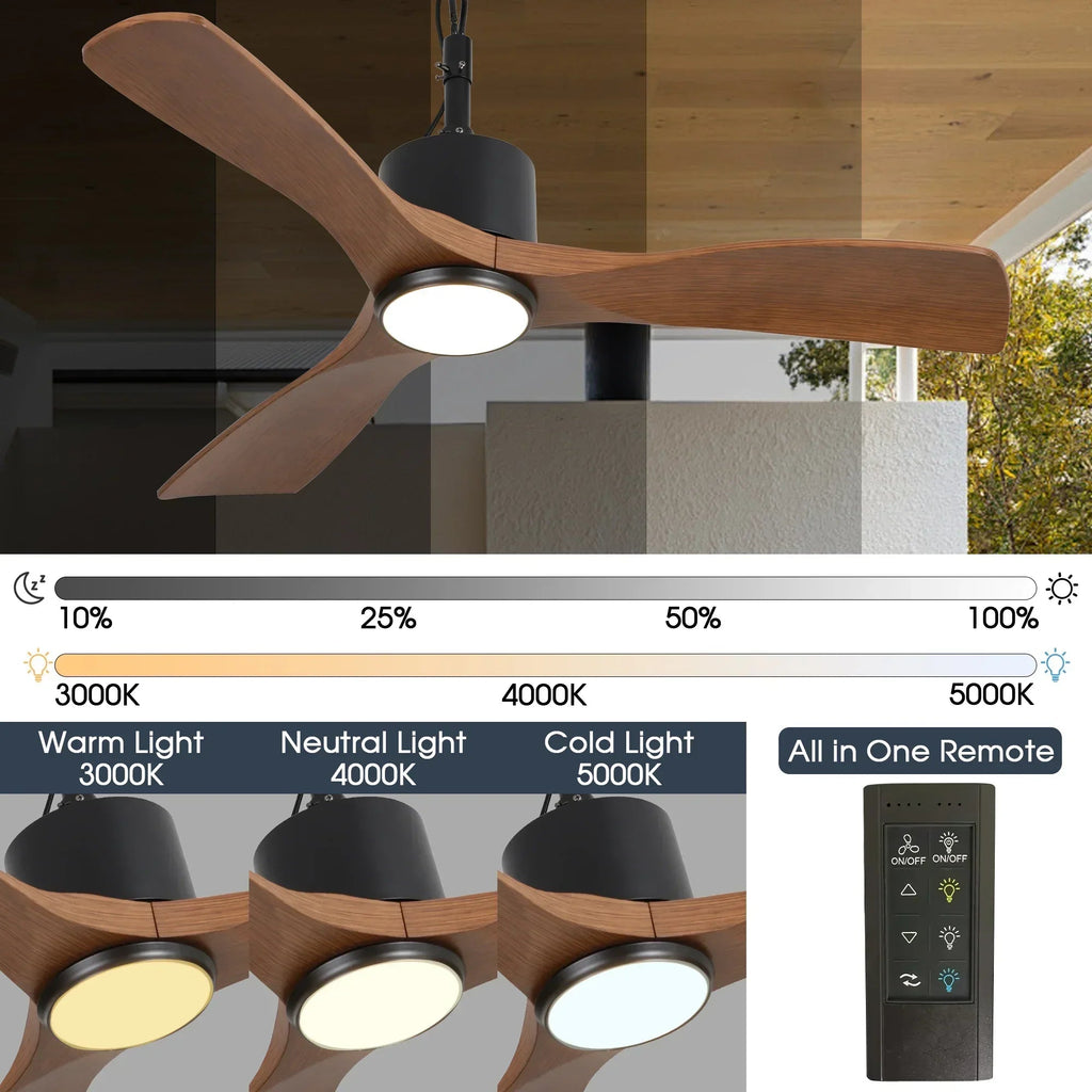 42 Inch Patio Guard IP65 Outdoor DC Motor Black Modern Hanging Buckle Downrod Ceiling Fan with Light