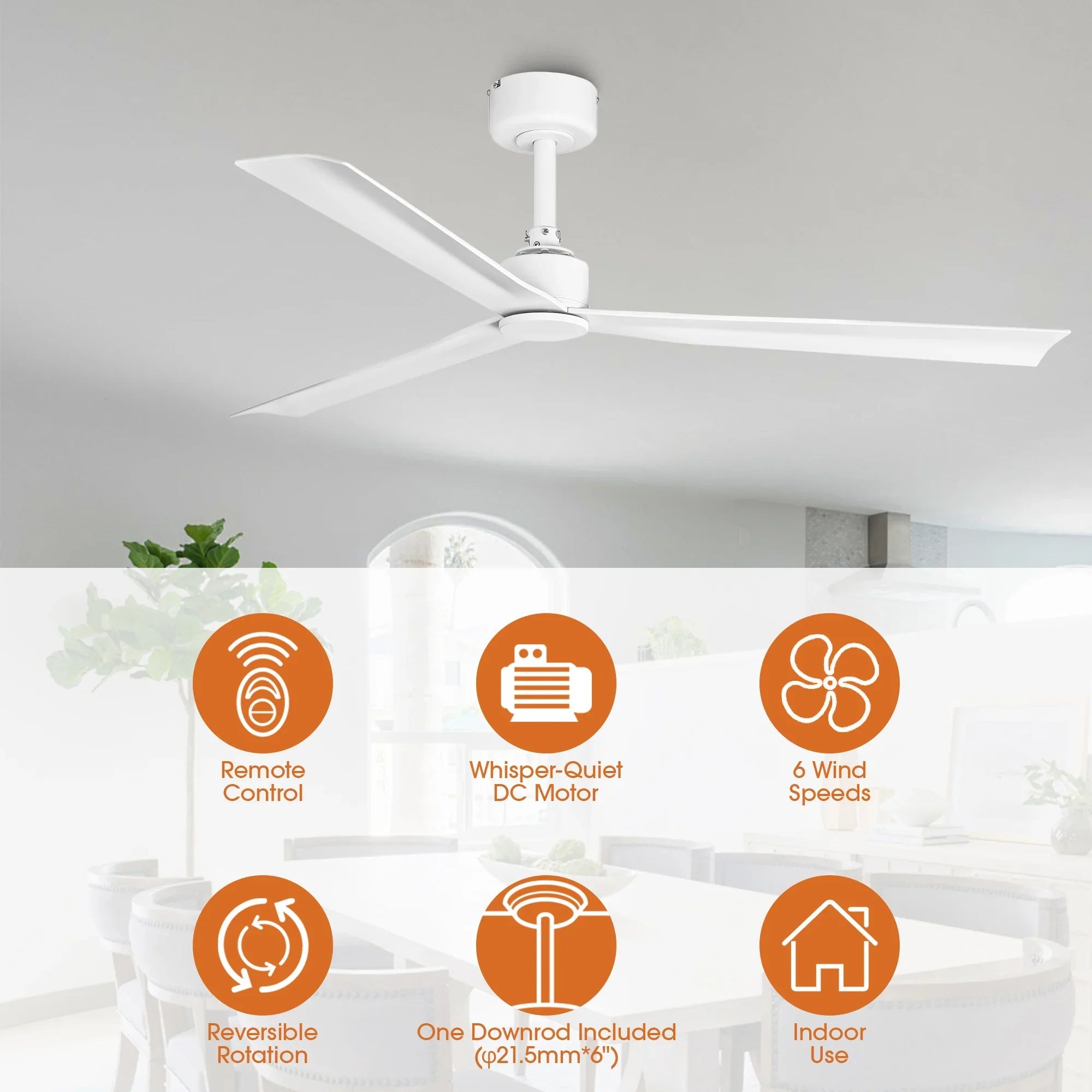 50 Inch Erica Modern Downrod Mount Ceiling Fan with Remote Control