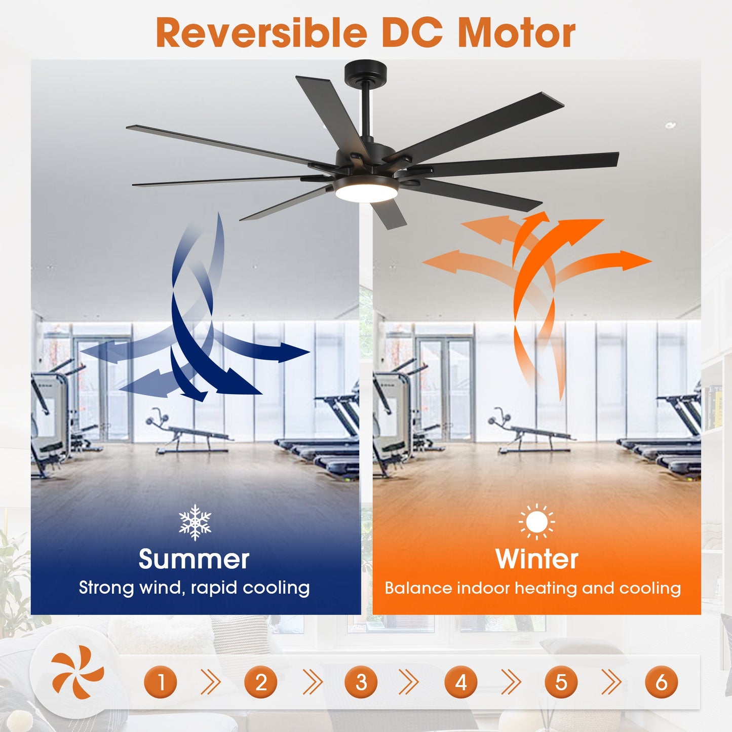 65 Inch Teresa Modern Double-sided Blades Ceiling Fan with Remote Control and LED Light