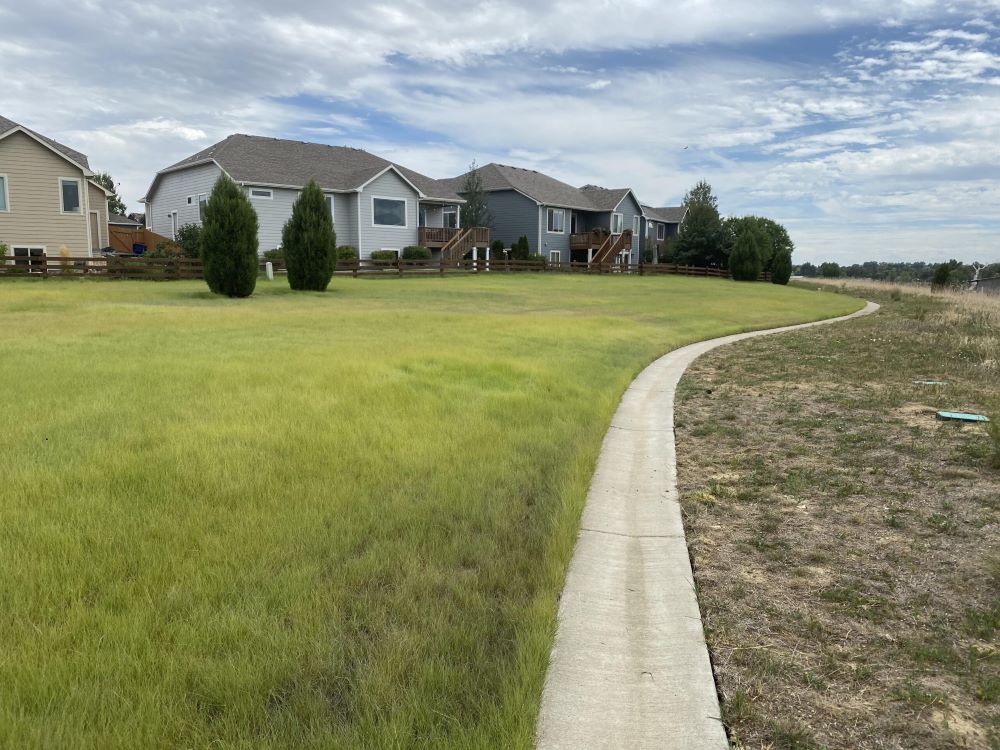 TrueGrass Native Grass Seed - The No Maintenance Native Lawn, Drought-Tolerant, Eco-Friendly Grass Blend