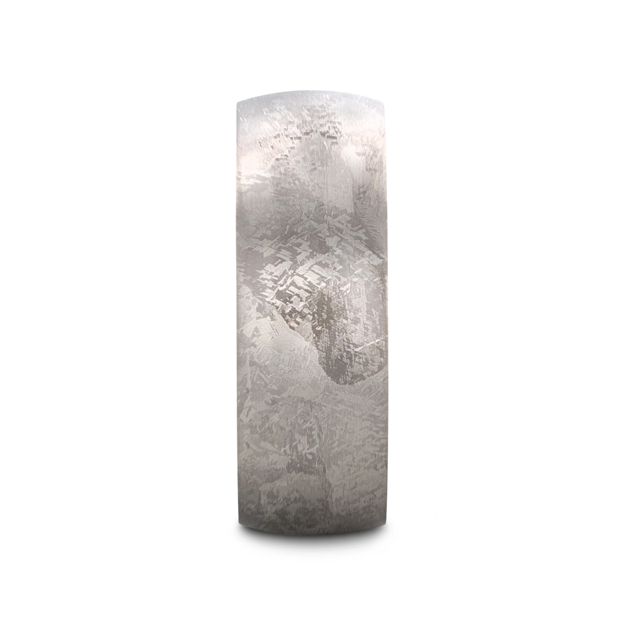MAGELLANIC Domed Titanium Ring with Meteorite Pattern – 8mm