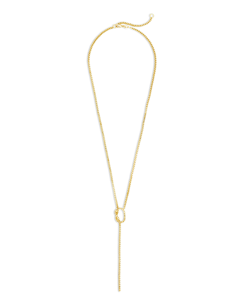Aster Link Lariat Necklace