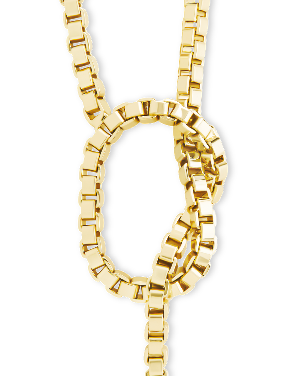 Aster Link Lariat Necklace