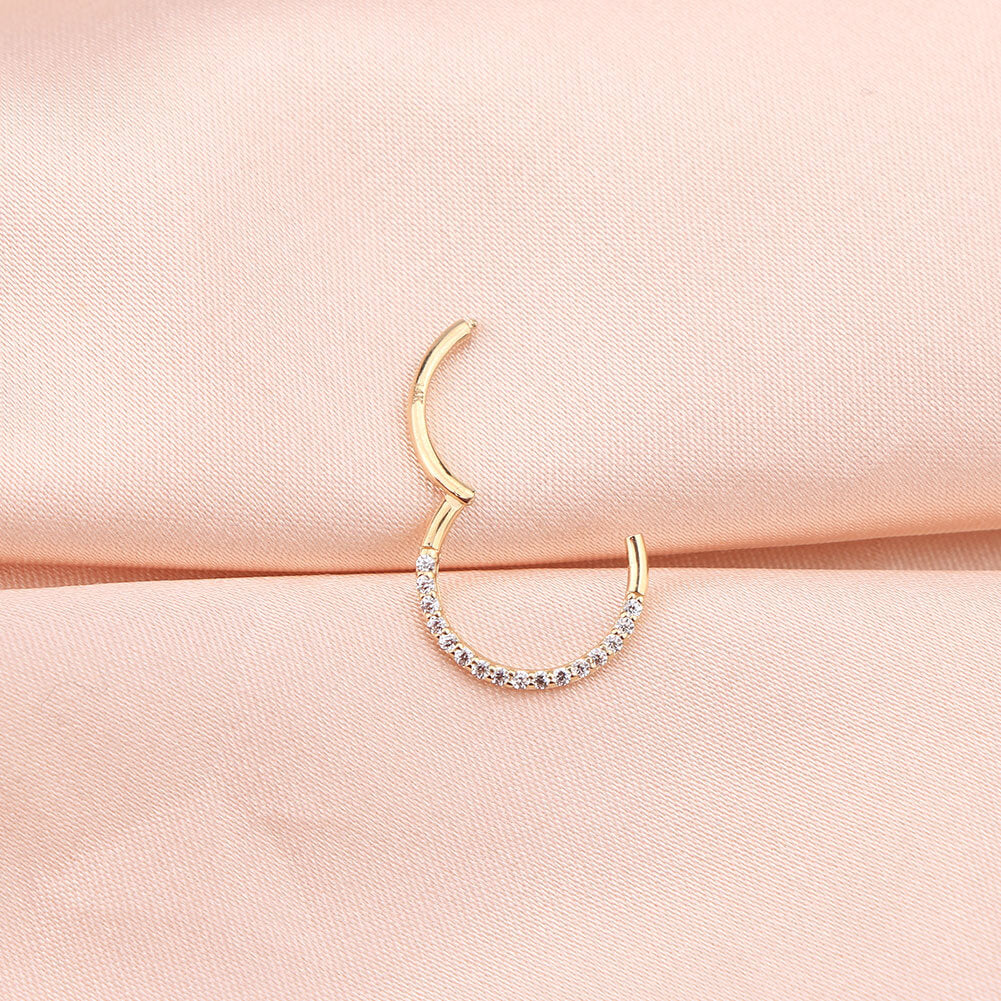 18G 14K Gold Front CZ Segment Septum Ring